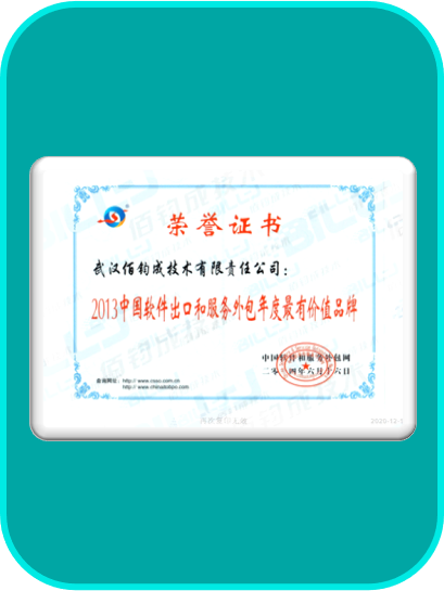 2013中国软件出口和服务外包年度最有价值品牌