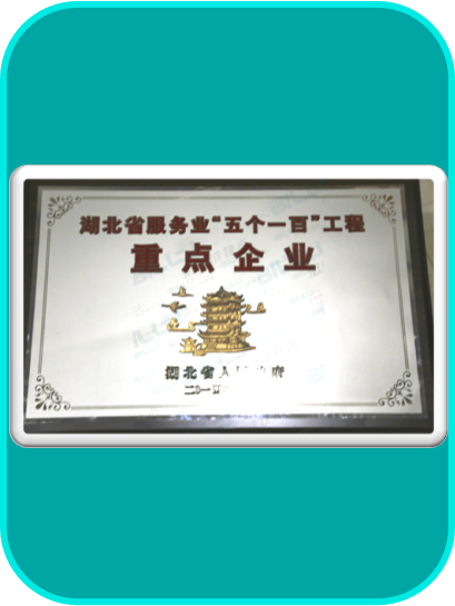 湖北省服务业“五个一百”工程重点企业