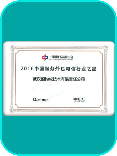 2016中国服务外包电信行业之星