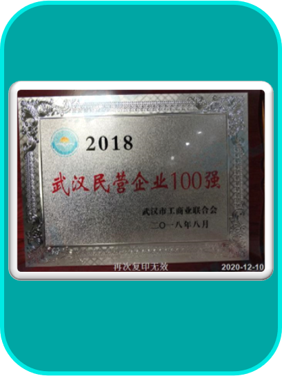 2018武汉民营企业100强