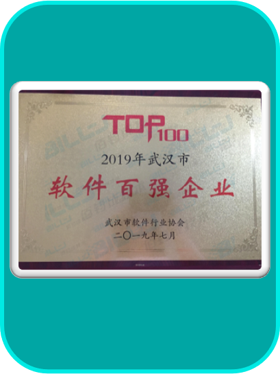 2019年武汉市软件百强企业