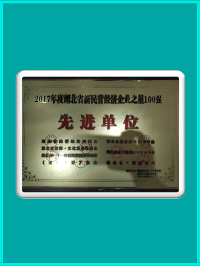 2017年度湖北省新民营经济企业之星100强