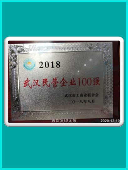 2018武汉民营企业100强