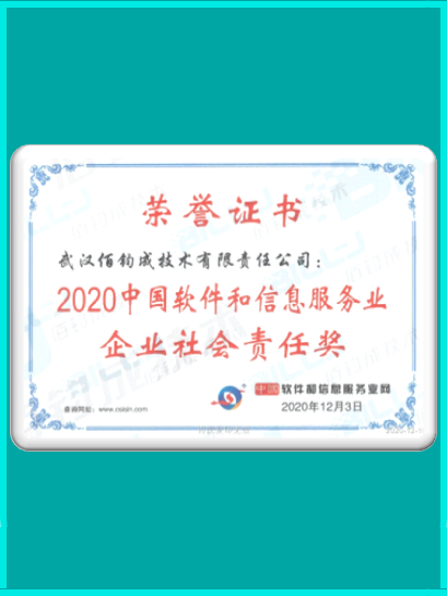 2020中国软件和信息服务业企业社会责任奖