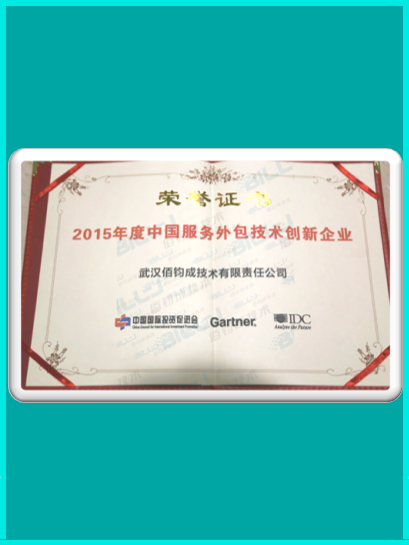 2015年度中国服务外包技术创新企业